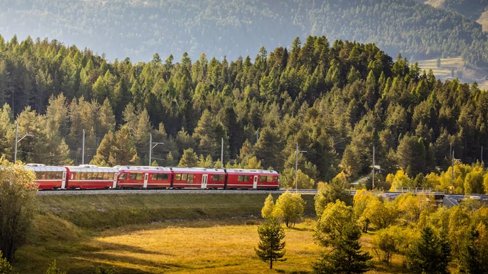 欧盟免费送火车通票！4万个名额，条件是…