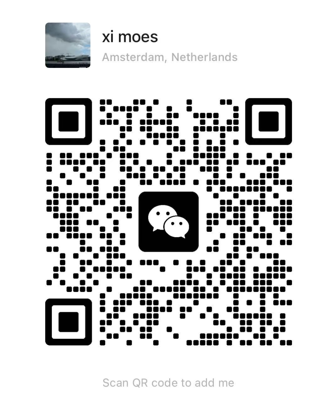 荷兰学车？找 MOES，20 年专为中国学员定制的高效通关方案！