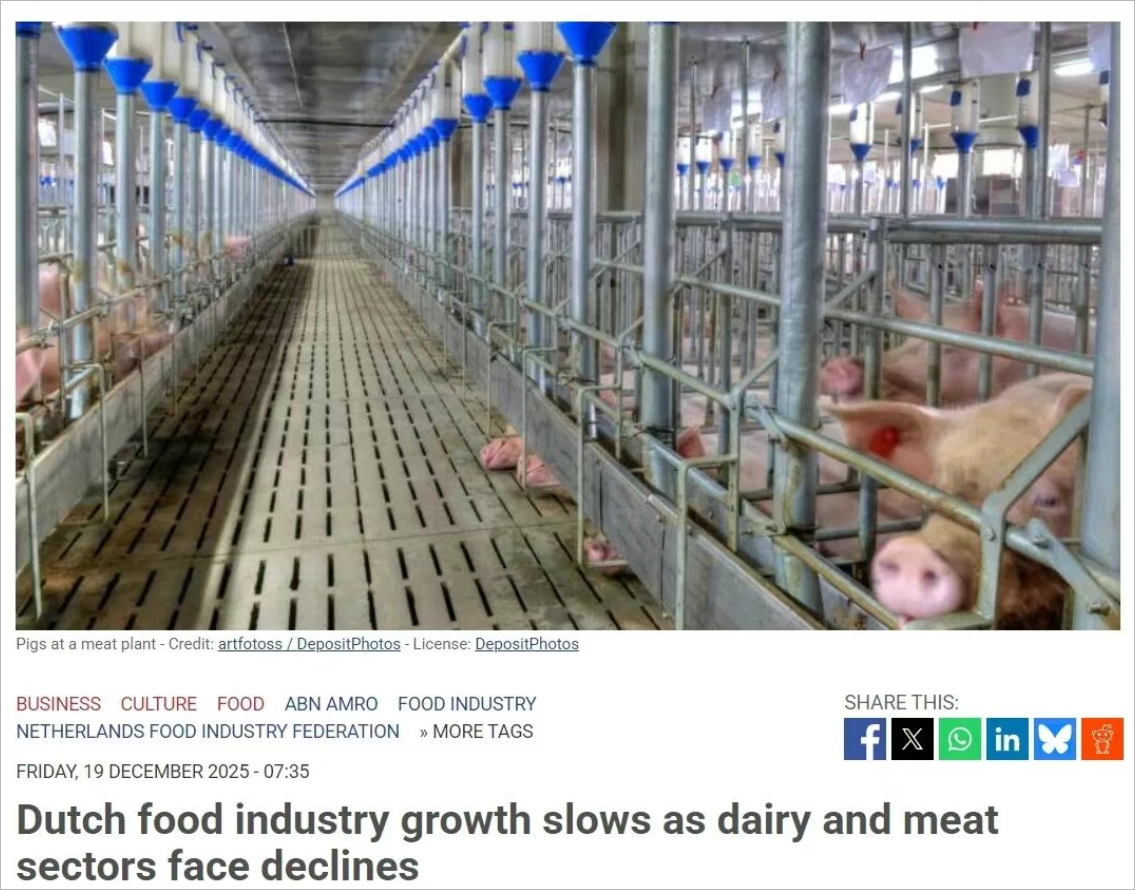 荷兰食品行业增长放缓，乳制品和肉类行业或面临衰退…