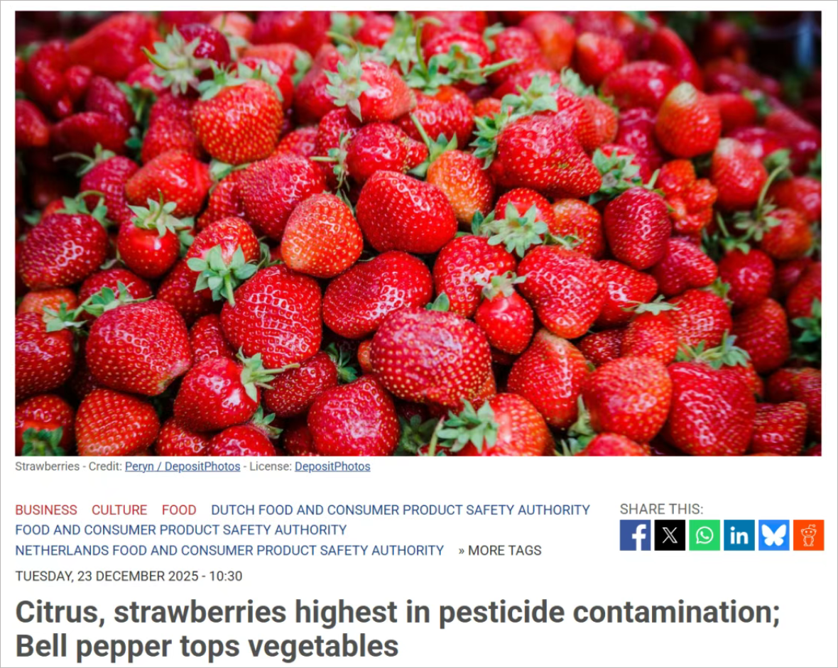 荷兰哪些蔬果农药最多？结果有点扎心，彩椒、橙子和草莓都上榜